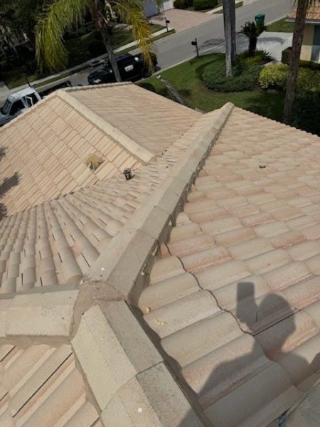 Roof Repair in Oakland, FL (5)