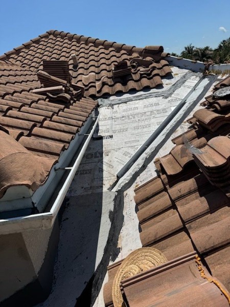 Roof Repair in Winter Garden, FL (3)
